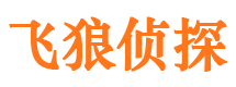 平江市侦探公司